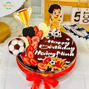 Flan gato 1 bên dâu socola, hình 20cm