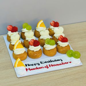 Set 12 susing trái cây