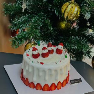 Bánh giáng sinh GS 13