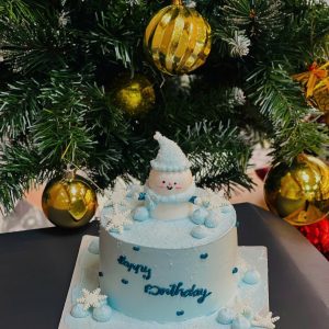 Bánh giáng sinh GS 14