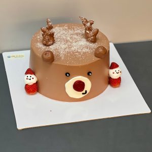 Bánh giáng sinh GS 22