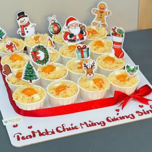 Bánh giáng sinh GS 24