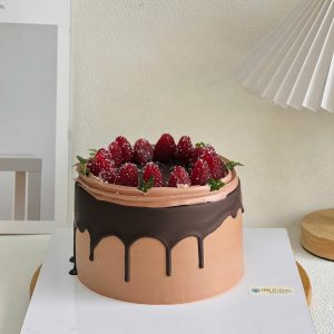 Bánh kem cốt chocolate 02